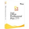 MS Office Professional Plus 2010