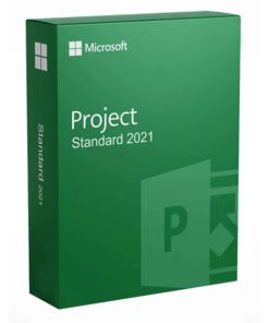 Microsoft Project standard 2021