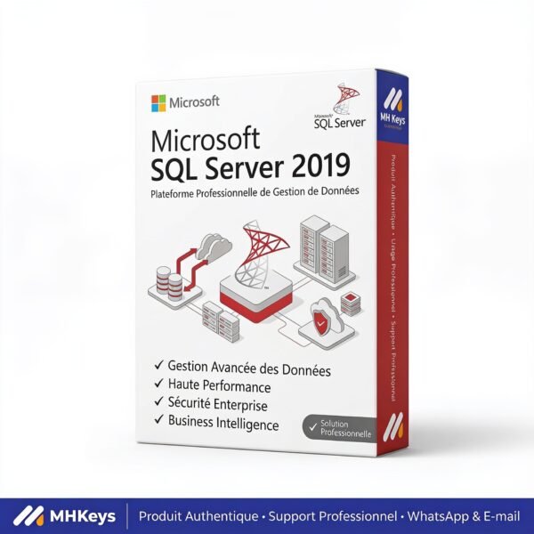 Microsoft SQL Server 2019 Standard | Licence Officielle à Vie | 1 Serveur